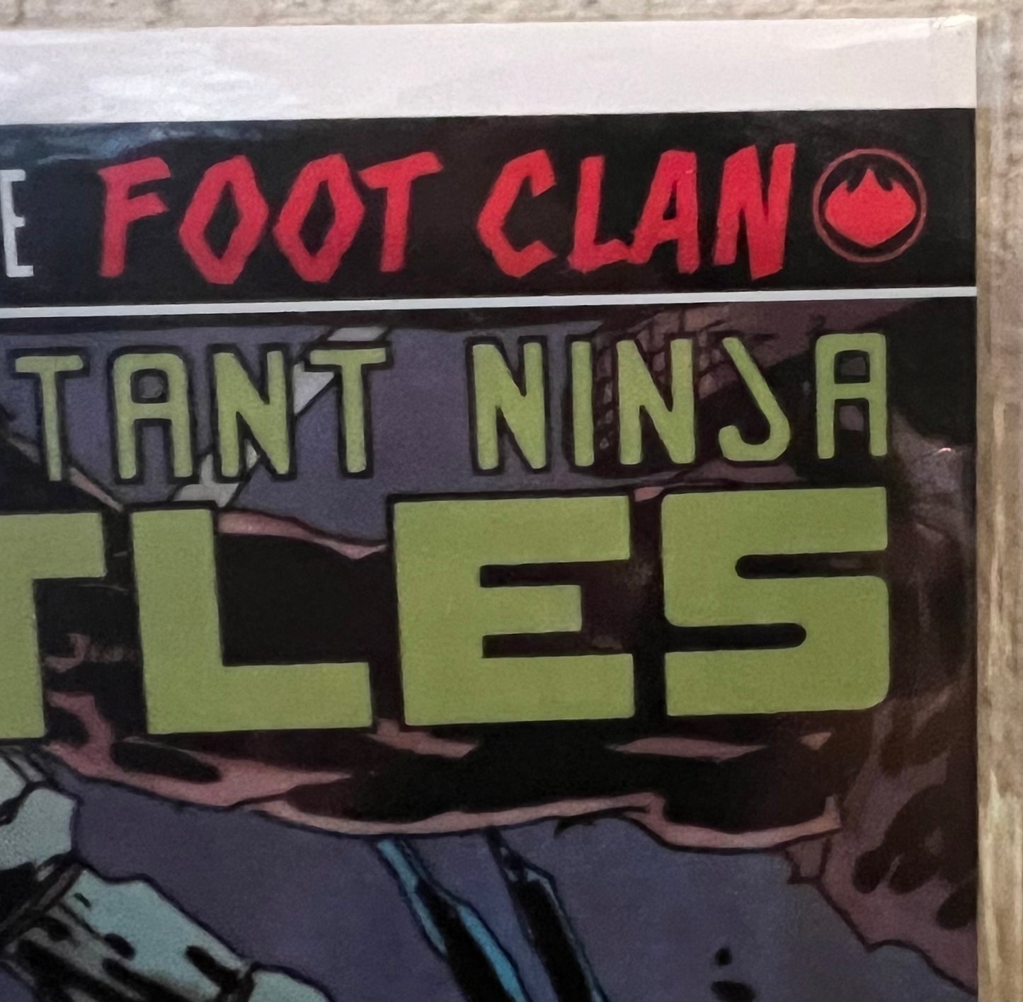 Teenage Mutant Ninja Turtles: Secret of the Foot Clan #1-DF Variant