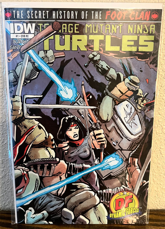 Teenage Mutant Ninja Turtles: Secret of the Foot Clan #1-DF Variant