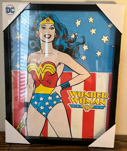 Wonder Woman Poster & Frame 16x20